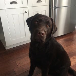 Meet your Posher, Teresa